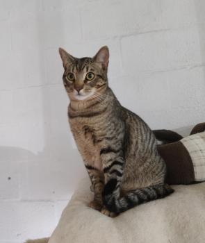 Claude Bild von Claude