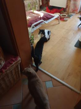 Eric Bild von Eric