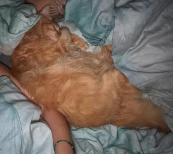 Jasper Bild von Jasper