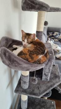 Jessi Bild von Jessi