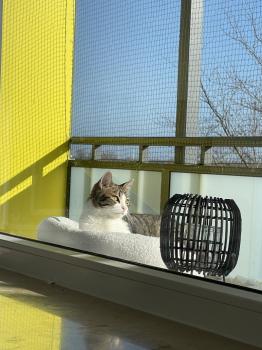 Dulce Bild von Dulce