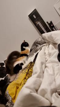Melisa Bild von Melisa