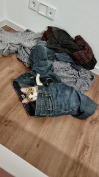Jessi Bild von Jessi