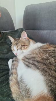 Jessi Bild von Jessi
