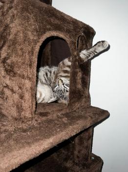 Camilo Bild von Camilo