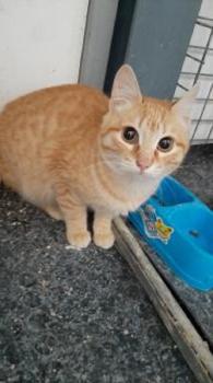 Timon Bild von Timon