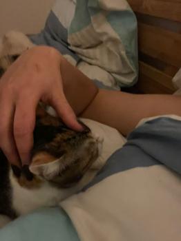 Miel Bild von Miel