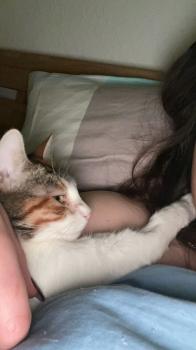 Miel Bild von Miel