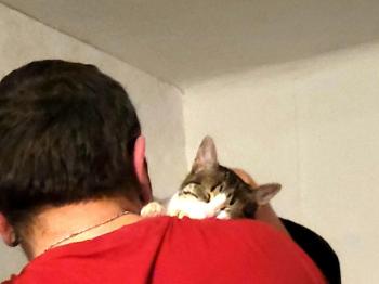Cleo Bild von Cleo