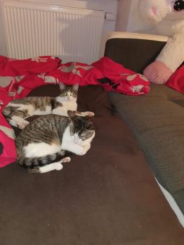 Cleo Bild von Cleo
