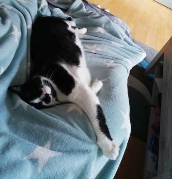 Bild von Naana