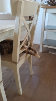 Lulu Bild von Lulu
