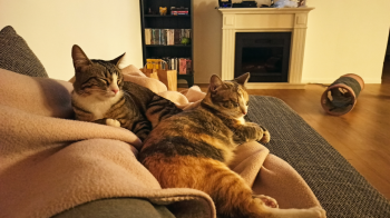 Yvette Bild von Yvette