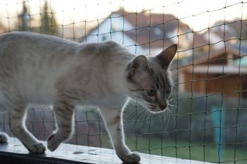 Juanito Bild von Juanito