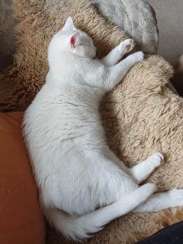 Casper Bild von Casper