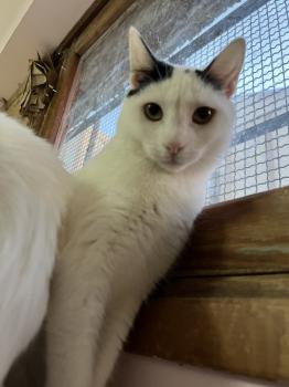 Wilma Bild von Wilma