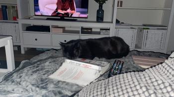Tizia Bild von Tizia