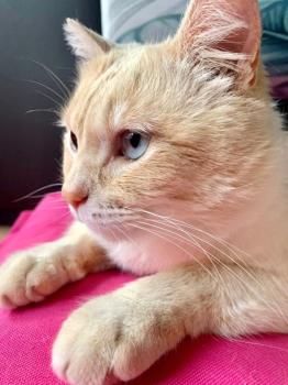 Micky Bild von Micky