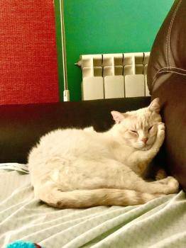 Micky Bild von Micky