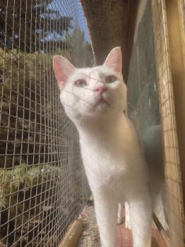 Horus Bild von Horus