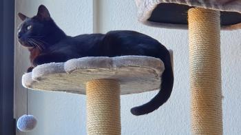 Salem Bild von Salem