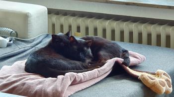 Salem Bild von Salem
