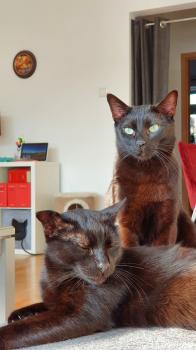 Salem Bild von Salem
