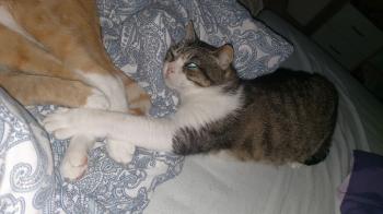 Fritz Bild von Fritz