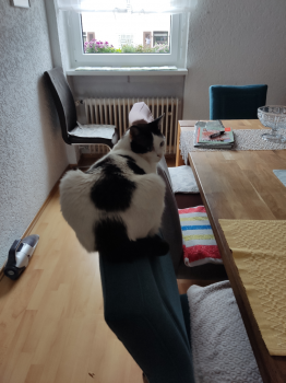 Nia Bild von Nia