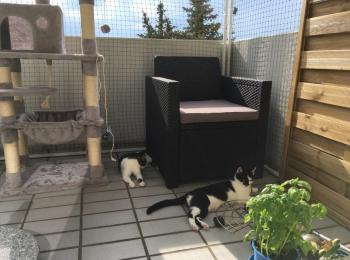 Misandei Bild von Misandei