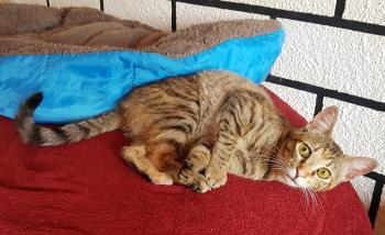 Mery Bild von Mery
