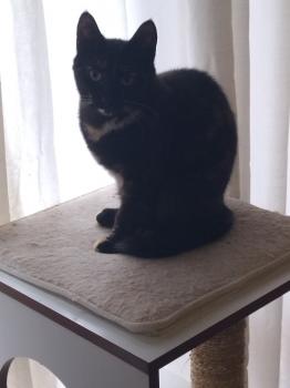 Runa Bild von Runa