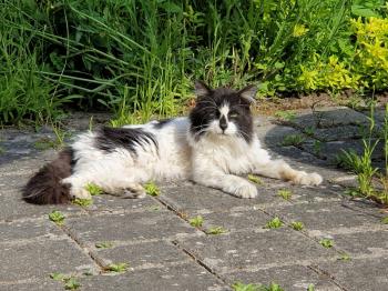 Eric Bild von Eric