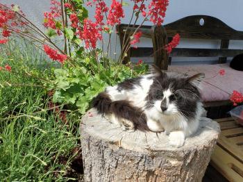 Eric Bild von Eric