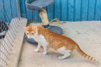 Oliver Bild von Oliver