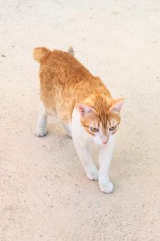 Oliver Bild von Oliver