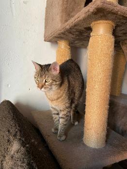 Princess Bild von Princess