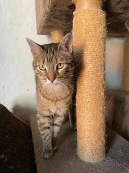 Princess Bild von Princess