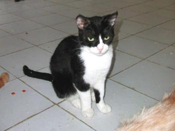 Bild von Sonia