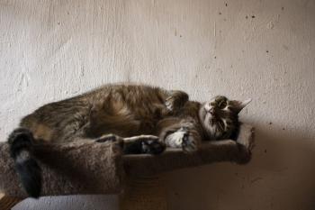 Princess Bild von Princess