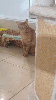 Momo Bild von Momo