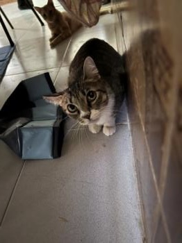Sofia Bild von Sofia