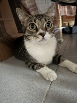 Sofia Bild von Sofia