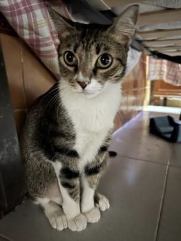 Sofia Bild von Sofia