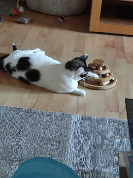 Nia Bild von Nia