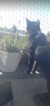 Truco Bild von Truco