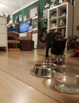 Truco Bild von Truco