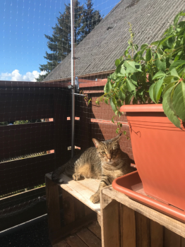 Claude Bild von Claude