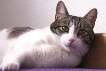 Irina Bild von Irina