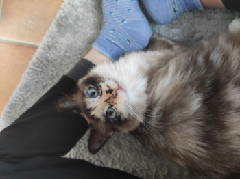 Mila Bild von Mila